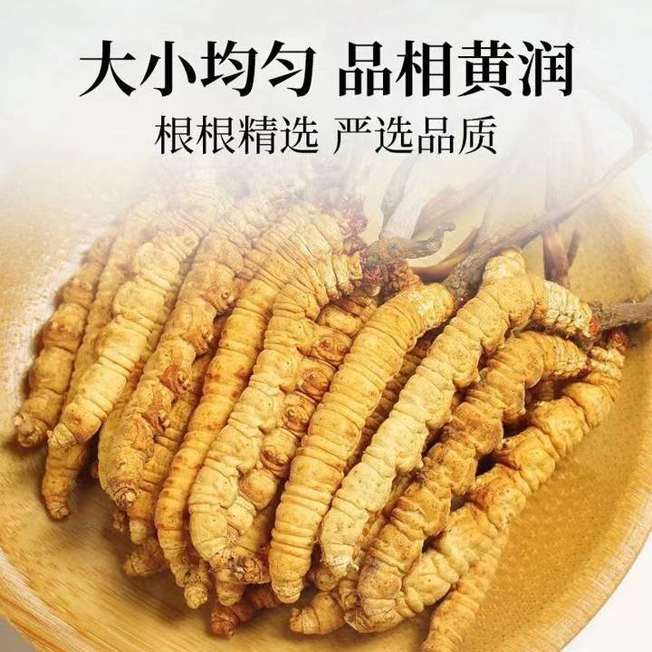 9e949ae486e1b2632e8c5ff6faf87be1.