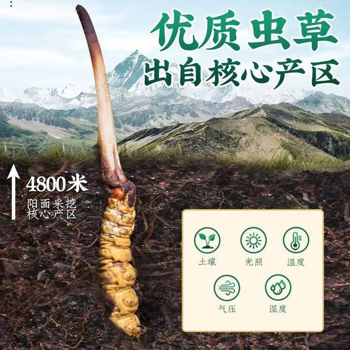 9c91be654492a7eeddc6cd0f1809996f.