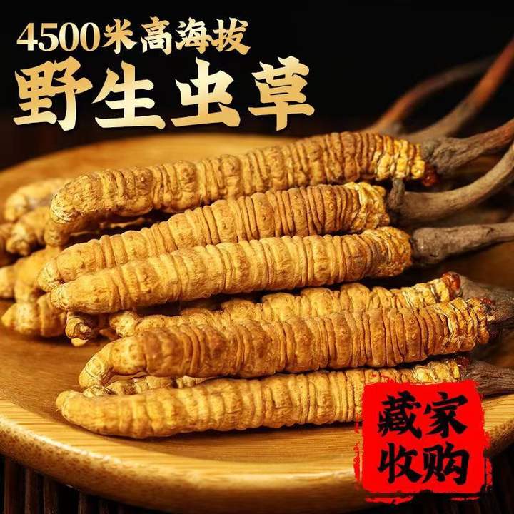 d58bc71a9c3a5661cf43c07d2b82e509.